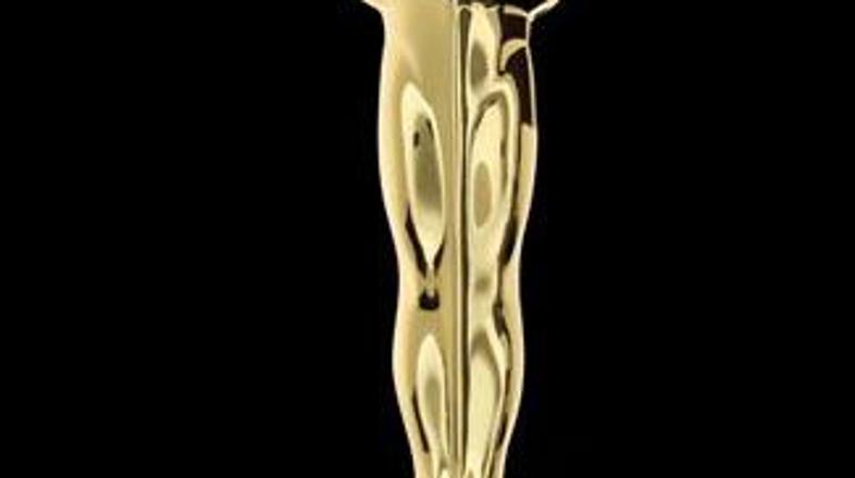 Morda bodo Kratki stiki v Slovenijo prinesli oskarja.