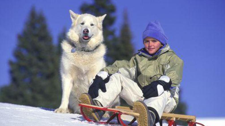 Med zimskimi počitnicami so otroci lahko tudi v varstvu, cene se gibljejo od dev
