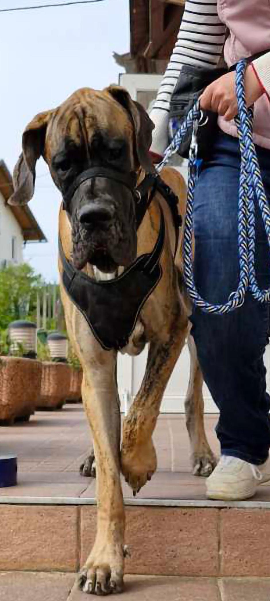 leopold karitas | Avtor: Andreja Cilenšek