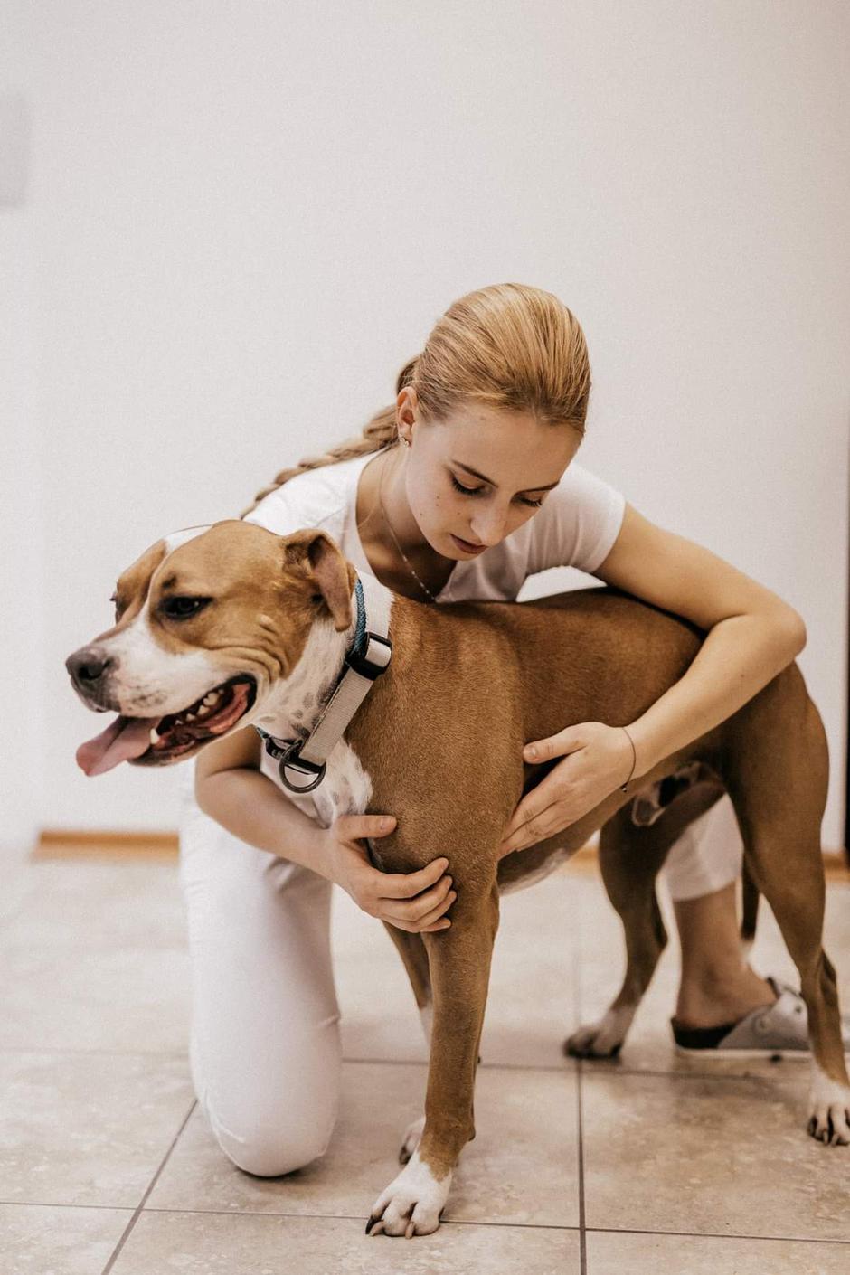 Fizioterapija za živali - Humanimal Fizio | Avtor: Humanimal Fizio