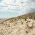 Main Beach, East Hampton, New York