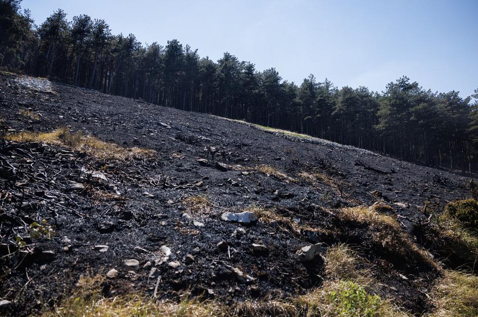 požar Renče gasilci požgana zemlja