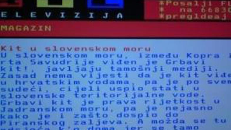 Niti kit se ni izognil ostrim hrvaškim jezikom.