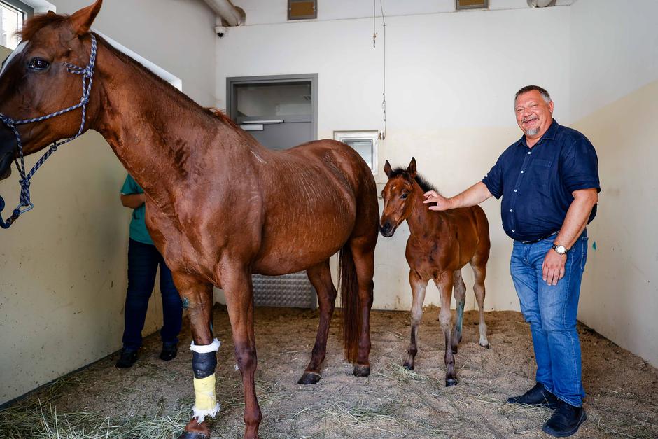 Ožbalt Podpečan, Veterinarska fakulteta | Avtor: Saša Despot