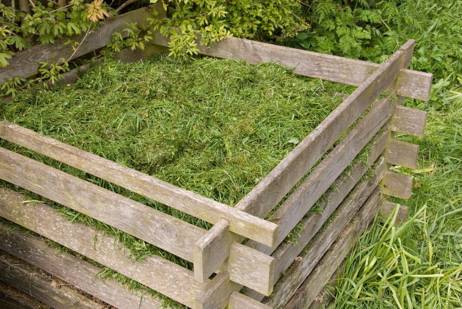 pokošena trava | Avtor: Profimedia