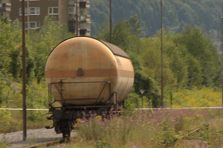 (Foto: Andraž Sodja)