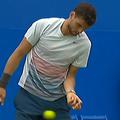 grigor dimitrov
