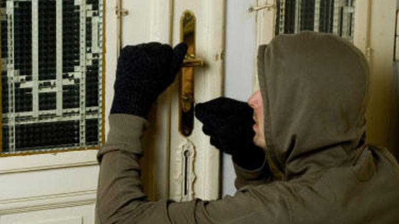 Vlomilce jeseni premami tudi ozimnica, najraje pa imajo zlatnino in še raje dena