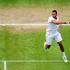 jo wilfried tsonga