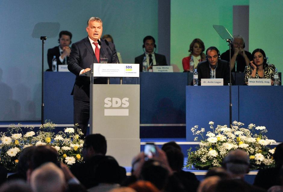 SDS | Avtor: Žurnal24 main