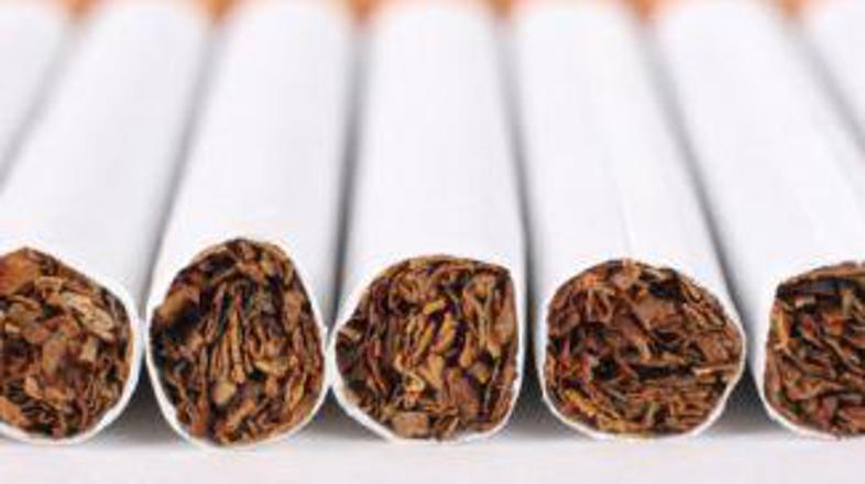 Ostali so brez zaslužka.