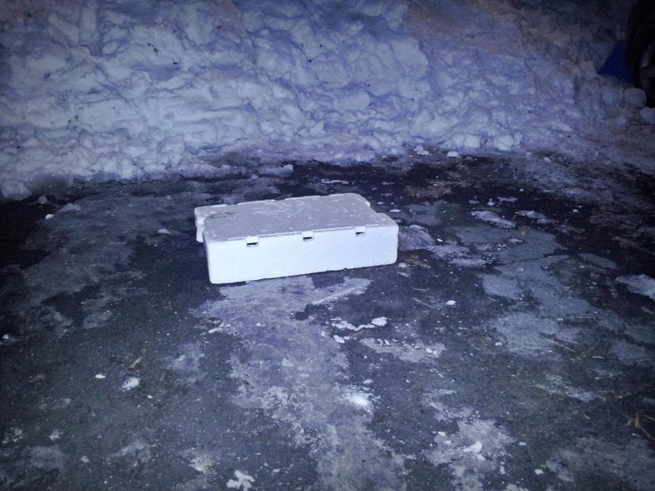 Gajbica na parkirišču | Avtor: Žurnal24 main