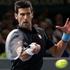 Ferrer Đoković Pariz masters ATP