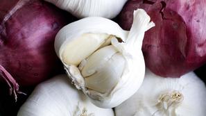 česen, čebula