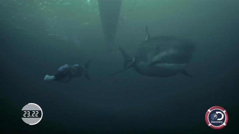 michael phelps morski pes