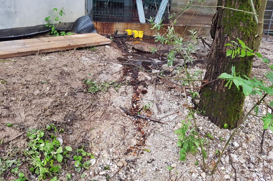 potok Vrhnika Kemis | Avtor: Anže Petkovšek