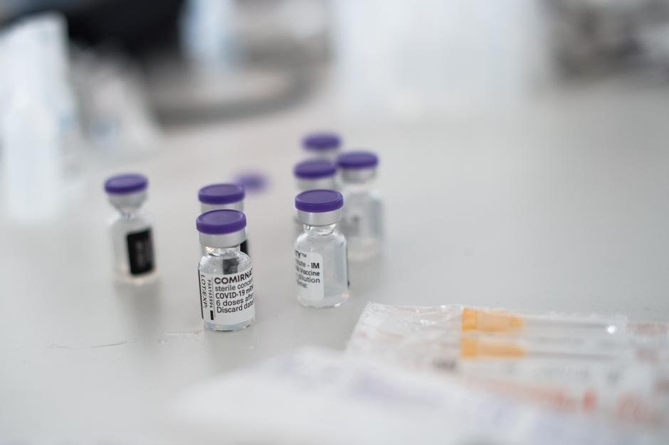 cepivo | Avtor: Anže Petkovšek