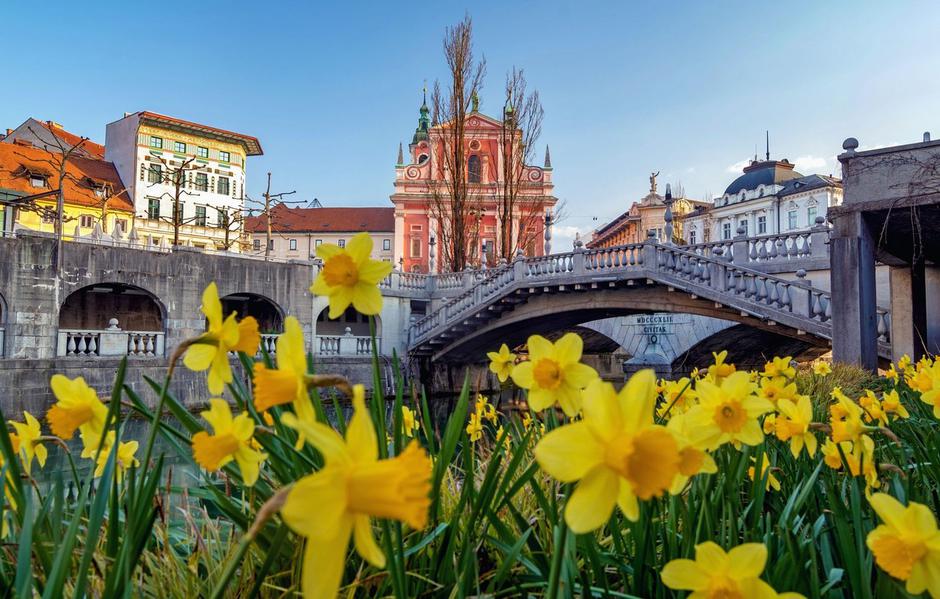 Ljubljana | Avtor: Profimedia