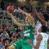 Cedevita Olimpija - Darussafaka Tekfen