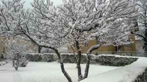 Sneg v Koroški Beli