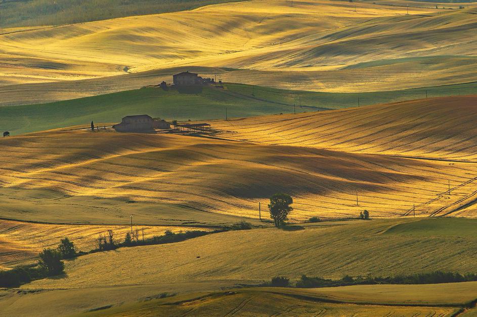 Toskana, zlata FDJP, bienale Pokrajina 2021