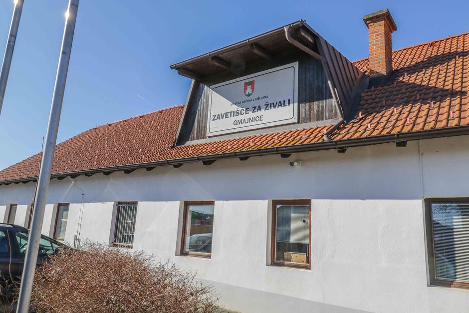 zavetišče Gmajnice | Avtor: Saša Despot