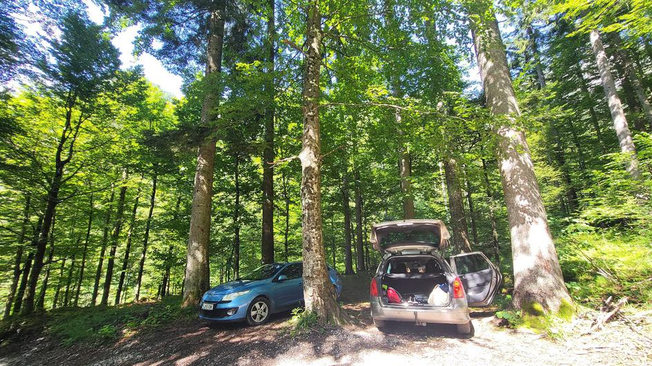 dolina Kamniške Bistrice