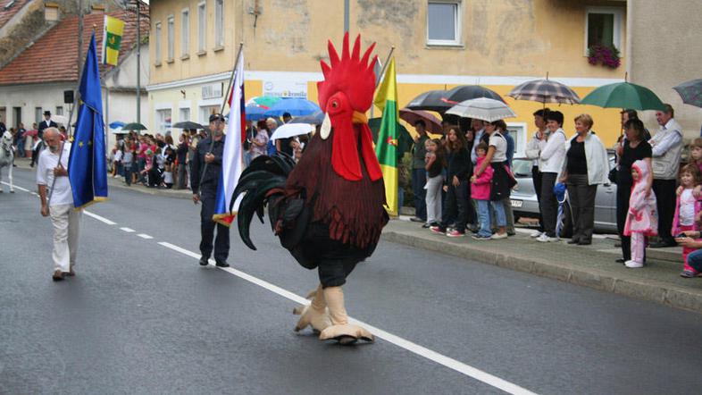 Manjkal ni niti šentjernejski petelin. (Foto: Živa Zakšek)