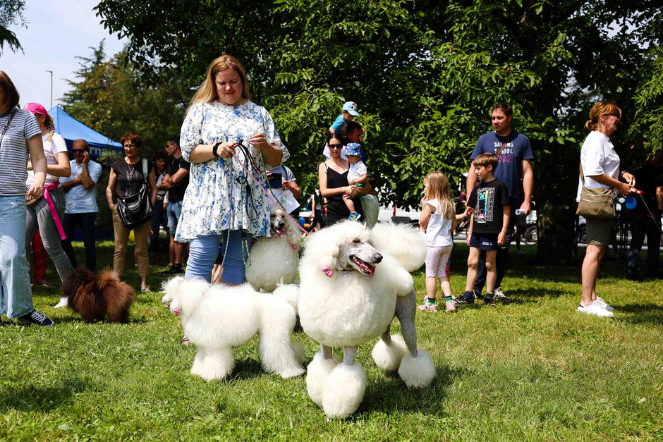Festival za ljubitelje živali 2023 | Avtor: Saša Despot