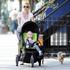 Naomi Watts: Phil & Ted’s Dash Buggy