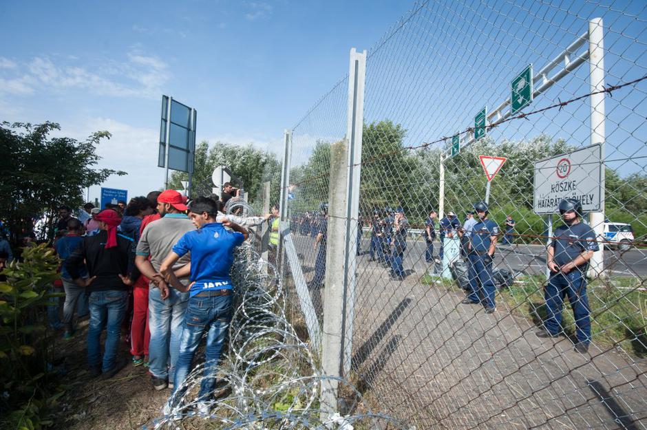 Horgoš | Avtor: Anže Petkovšek