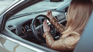 Jezen voznik jezna voznica