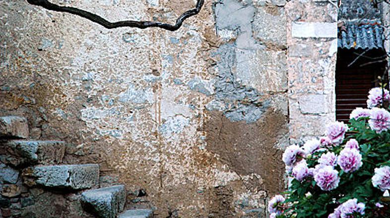 Borci za Kras se bojijo, da bomo ohranitev dragocene in edinstvene dediščine pod