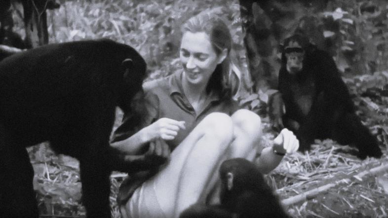 Jane Goodall