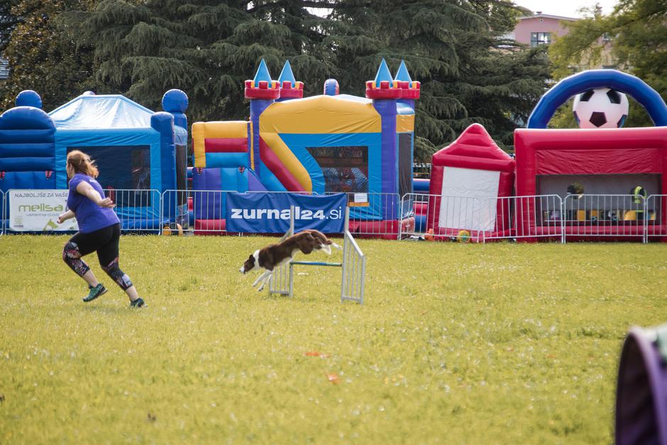 Festival za ljubitelje živali 2025 | Avtor: Cimet Studio