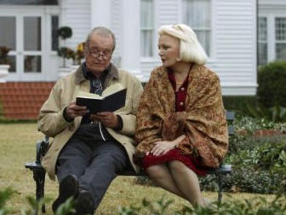 Pred petimi leti je Cassavetes že ogromno zaslužil s filmom The Notebook. | Avtor: Žurnal24 main