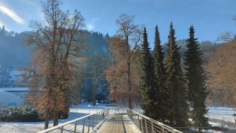 Mestni park Celje