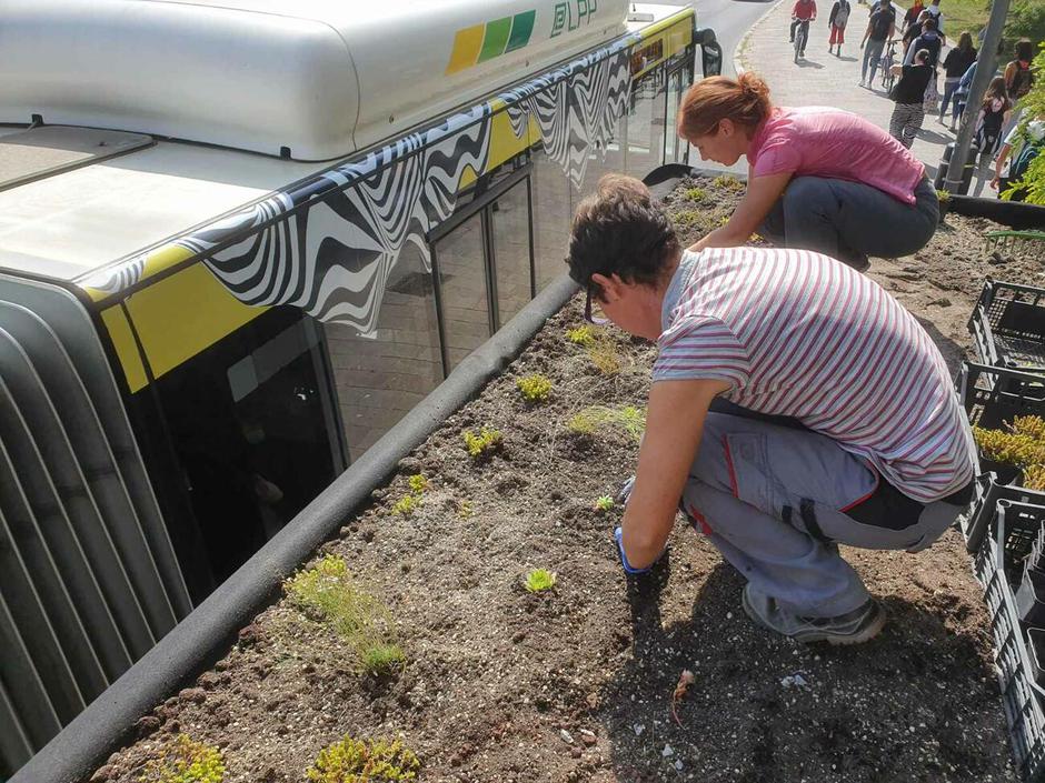 avtobusno postajališče | Avtor: Mestna občina Ljubljana