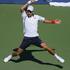 novak đoković us open polfinale