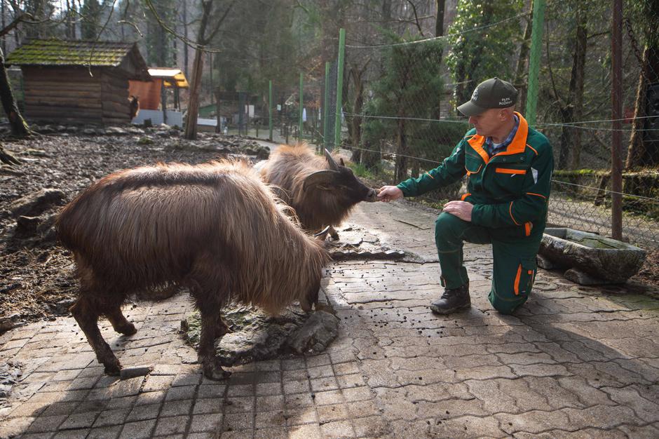 Zoo Park Rožman | Avtor: Anže Petkovšek