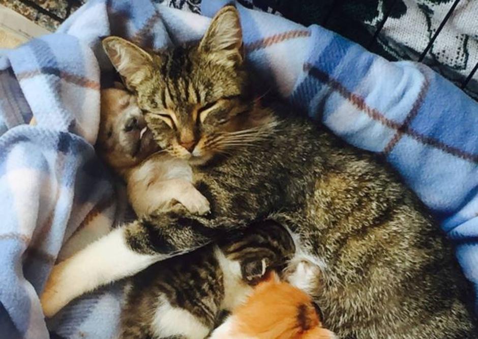 Booby | Avtor: Žurnal24 main