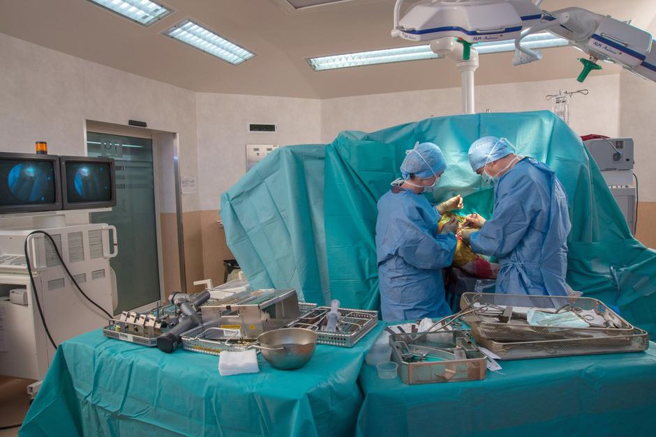 Ortopedska kirurgija | Avtor: Profimedia