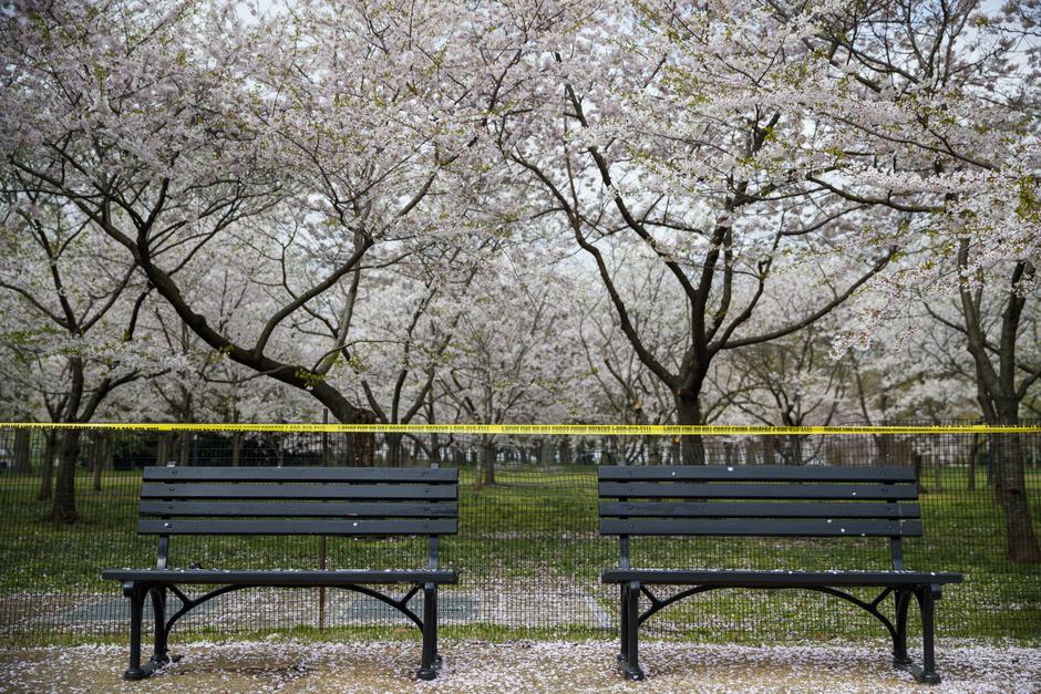 koronavirus COVID-19 prazen park | Avtor: Epa