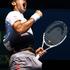 djokovic novak