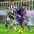 (Fiorentina - Udinese) coppa italia italijanski pokal