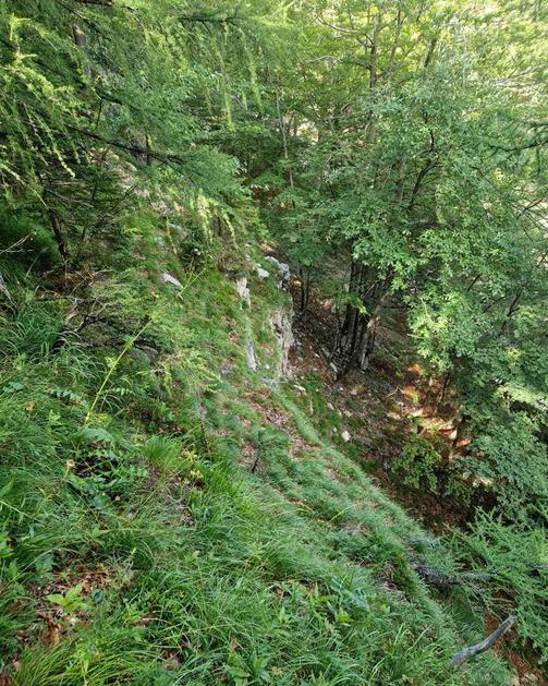 Pastirska pot na Okrešlju: Padec mladega planinca