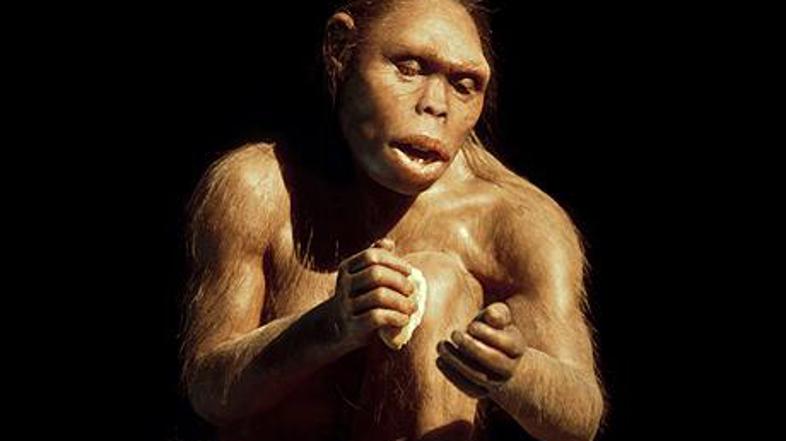 Profesor Lee Berger je med raziskovanjem jam blizu južnoafriškega Johannesburga 