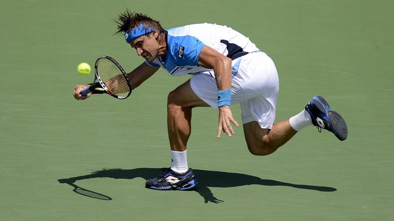 david ferrer