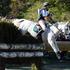 Eventing Cross Country, World Equestrian Games in Lexington, Kentucky