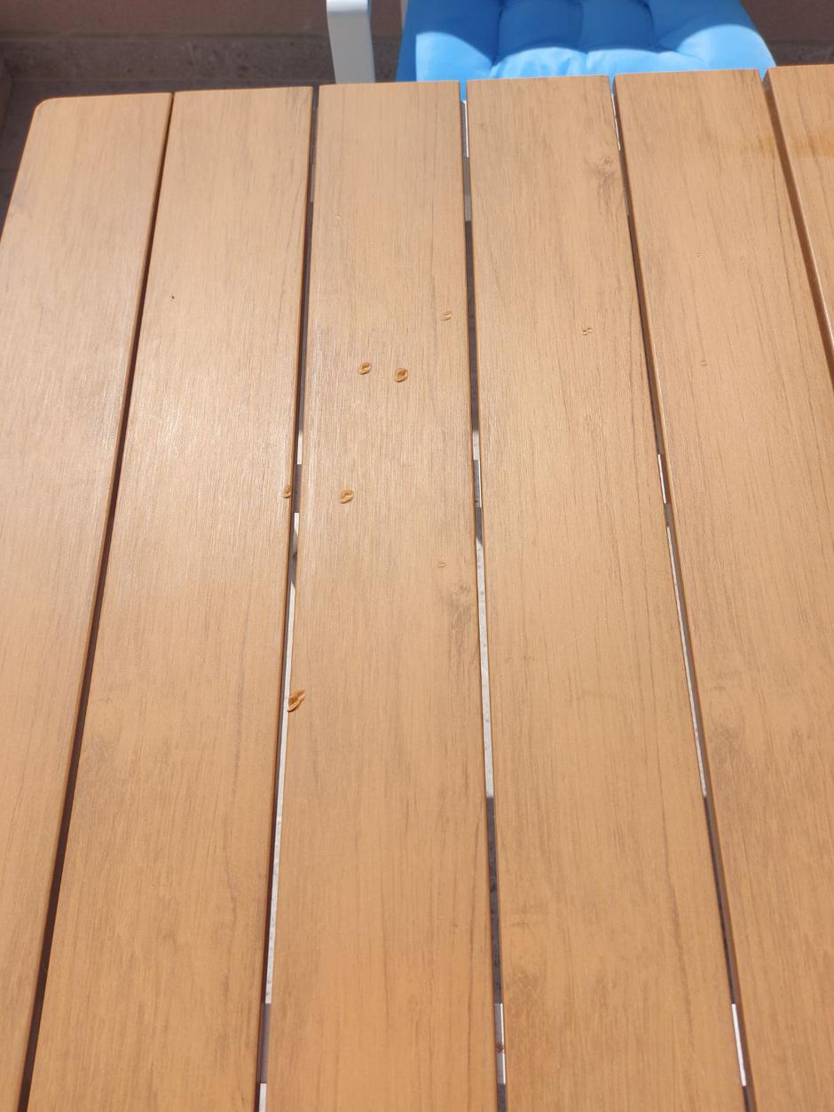 vrtna miza | Avtor: Bralec